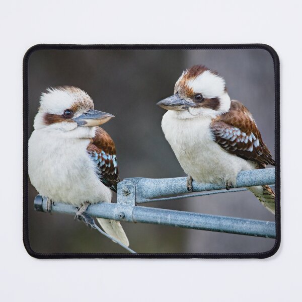 Item preview, Kookaburras on a Hills Hoist designed and sold by RAFImages.