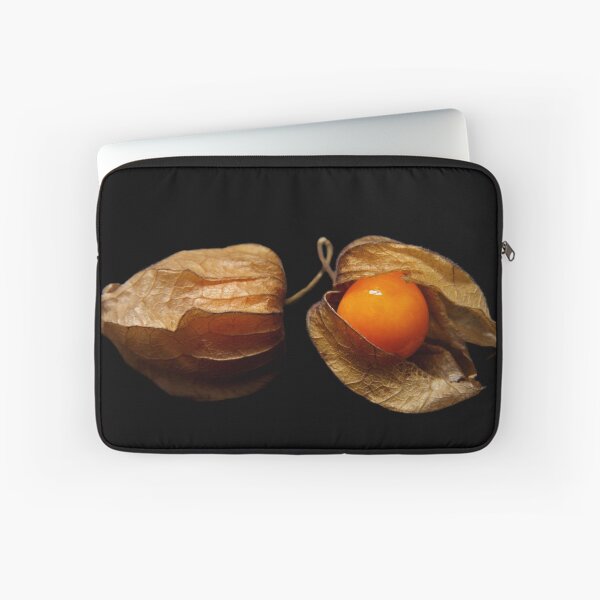 Item preview, Physalis (CapeGooseberry) designed and sold by Jerry Alcantara.