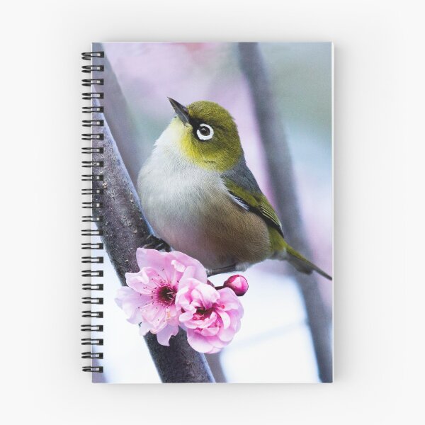 Item preview, Silvereye in Cherry Blossom designed and sold by RAFImages.
