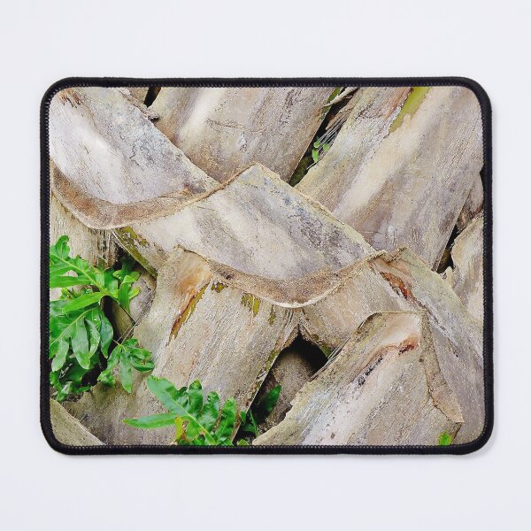 Item preview, Trimmed Palm Trunk  designed and sold by Martha Sherman.