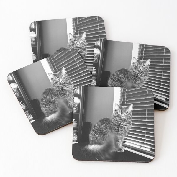 Item preview, Black and White Picture of a Cat designed and sold by Julianna Rachie.