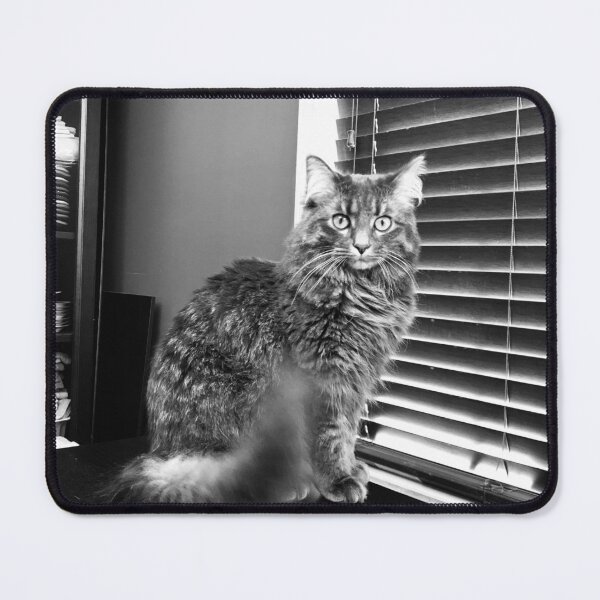 Item preview, Black and White Picture of a Cat designed and sold by Julianna Rachie.