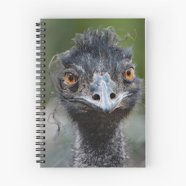 Item preview, Emu with an attitude! designed and sold by RAFImages.