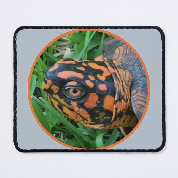 Item preview, I Love Turtles! designed and sold by Twittlefish.