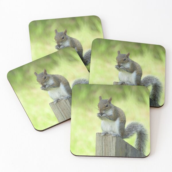 Item preview, Cute Squirrel #0009 designed and sold by Jeffrey Mask.