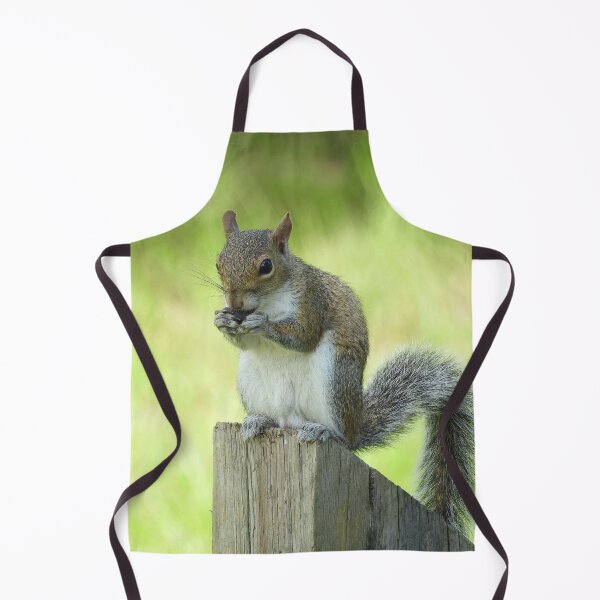 Item preview, Cute Squirrel #0009 designed and sold by Jeffrey Mask.