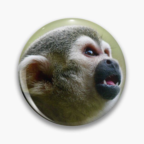 Item preview, Curious Squirrel Monkey designed and sold by richardbryce.