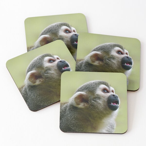 Item preview, Curious Squirrel Monkey designed and sold by richardbryce.