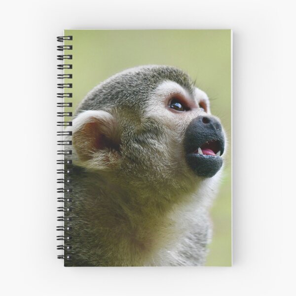 Item preview, Curious Squirrel Monkey designed and sold by richardbryce.