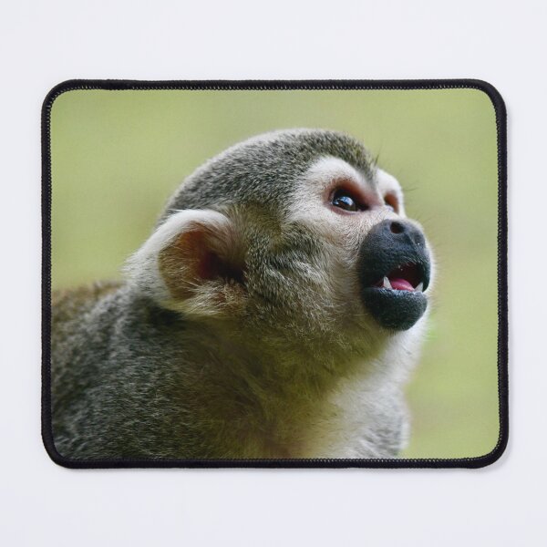 Item preview, Curious Squirrel Monkey designed and sold by richardbryce.