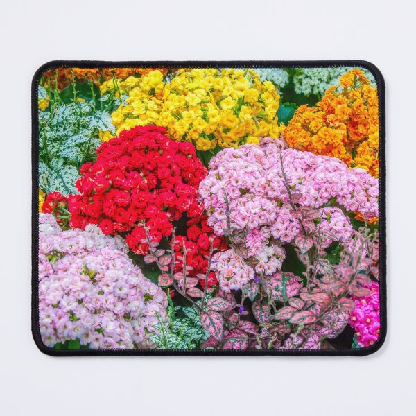 Item preview, Blooming beauty! designed and sold by Fran Woods.