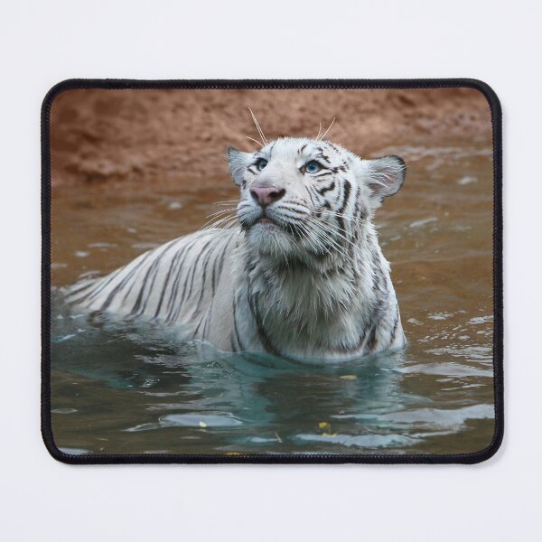 Item preview, Thankful designed and sold by Lisa Putman.