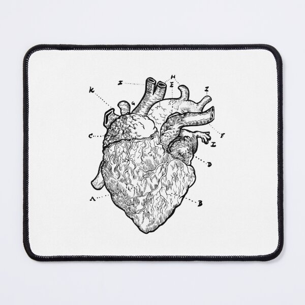Item preview, Anatomical heart designed and sold by DerSenat.