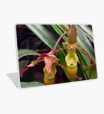 Slipper Orchid Laptop Skin