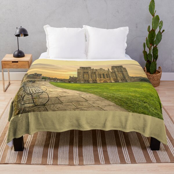 Item preview, Wells Cathedral at Sundown  designed and sold by Alisonchambers2.