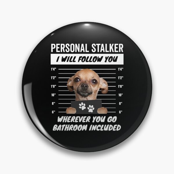 Item preview, Personal Stalker Chiwawa Dog – Chihuahua designed and sold by More Cute Dogs.