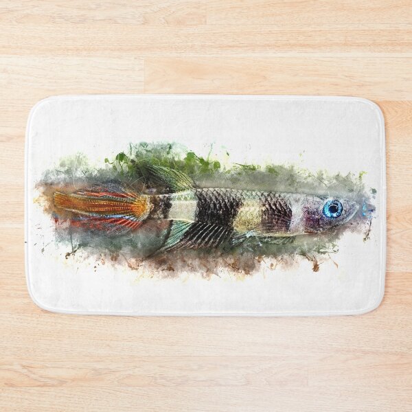Item preview, Ringed Pike - Epiplatys annulatus designed and sold by AquariumLutter.