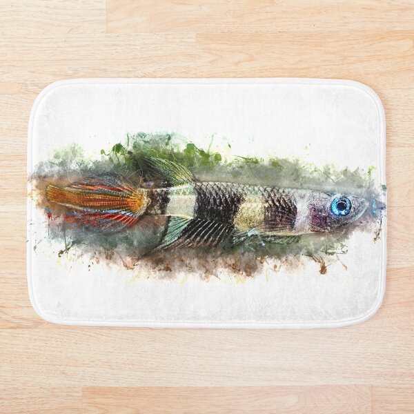 Item preview, Ringed Pike - Epiplatys annulatus designed and sold by AquariumLutter.