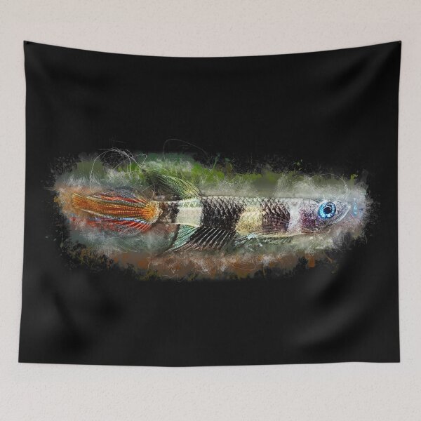 Item preview, Ringed Pike - Epiplatys annulatus designed and sold by AquariumLutter.