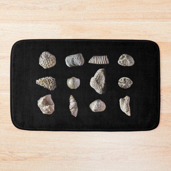 Item preview, Paleozoic marine fossils from Ordovician and Silurian periods designed and sold by MarisG.