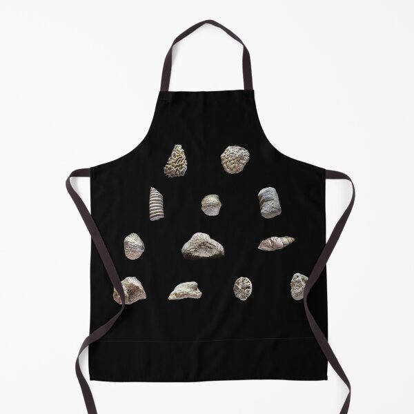 Item preview, Paleozoic marine fossils from Ordovician and Silurian periods designed and sold by MarisG.