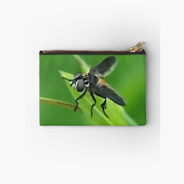 Item preview, Tachinid Fly designed and sold by Virginia N. Fred.