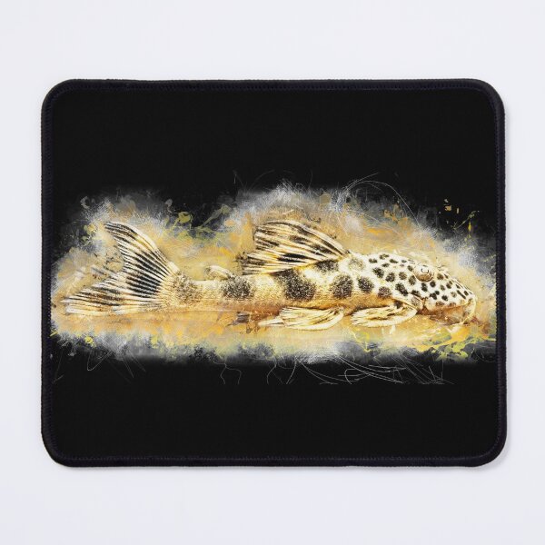 Item preview, Leopard deception catfish - Ancistomus cf. sabaji designed and sold by AquariumLutter.
