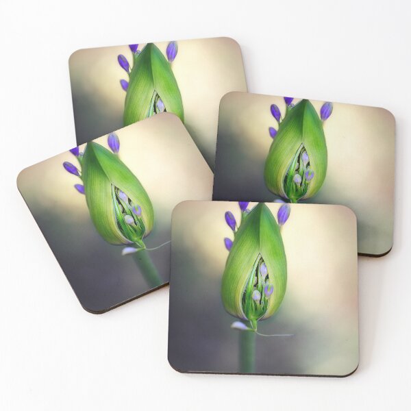 Item preview, Agapanthus Born designed and sold by Huskyyy Designs.