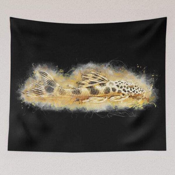 Item preview, Leopard deception catfish - Ancistomus cf. sabaji designed and sold by AquariumLutter.