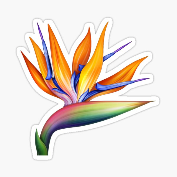 flower bird of paradise exotic seamless pattern Sticker
