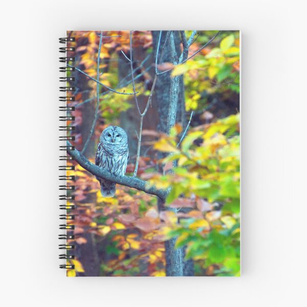 Item preview, Barred Owl and Foliage designed and sold by Caleb Ward.