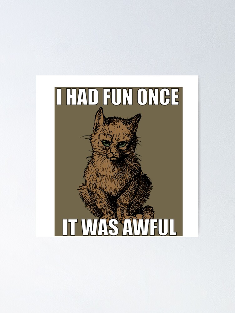 I Had Fun Once And It Was Awful "I had fun once, It was awful meme cat " Poster by ubaidsidd37 | Redbubble