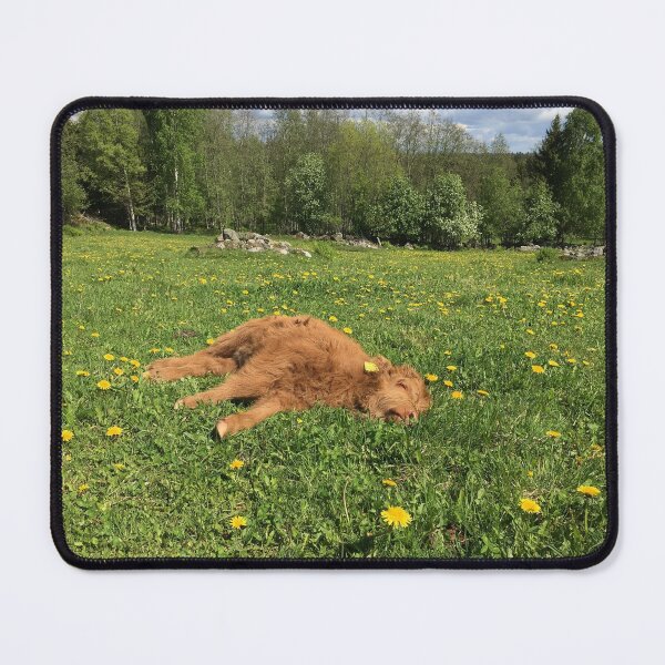 Item preview, Scottish Highland Cattle Calf 1777 designed and sold by SaarelaHighland.
