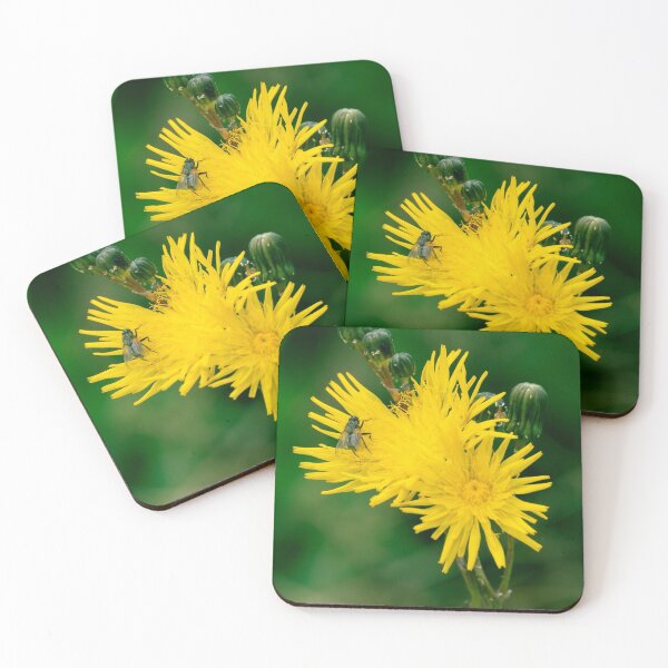 Item preview, Yellow Dandelion Flower with a Fly designed and sold by spiritink.