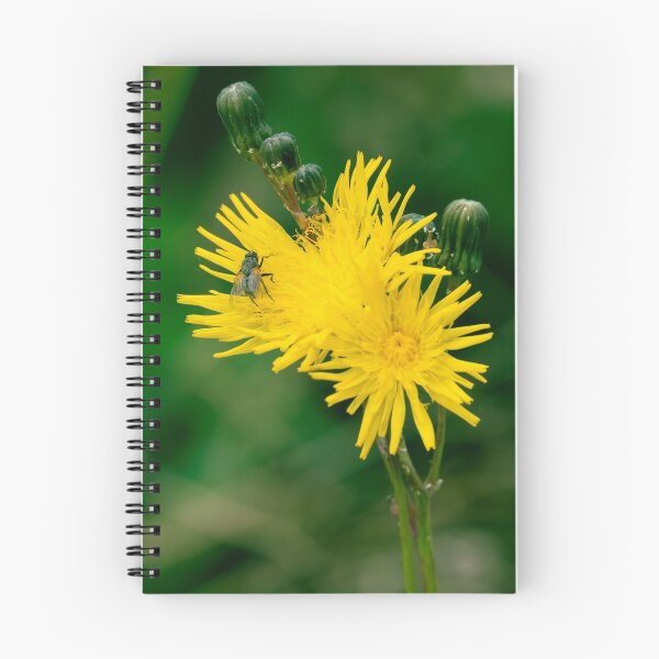 Item preview, Yellow Dandelion Flower with a Fly designed and sold by spiritink.
