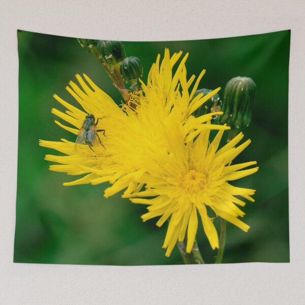 Item preview, Yellow Dandelion Flower with a Fly designed and sold by spiritink.