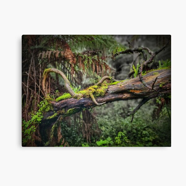 Item preview, Tortuous branches designed and sold by maverick.