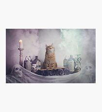 Ginger Spells Photographic Print