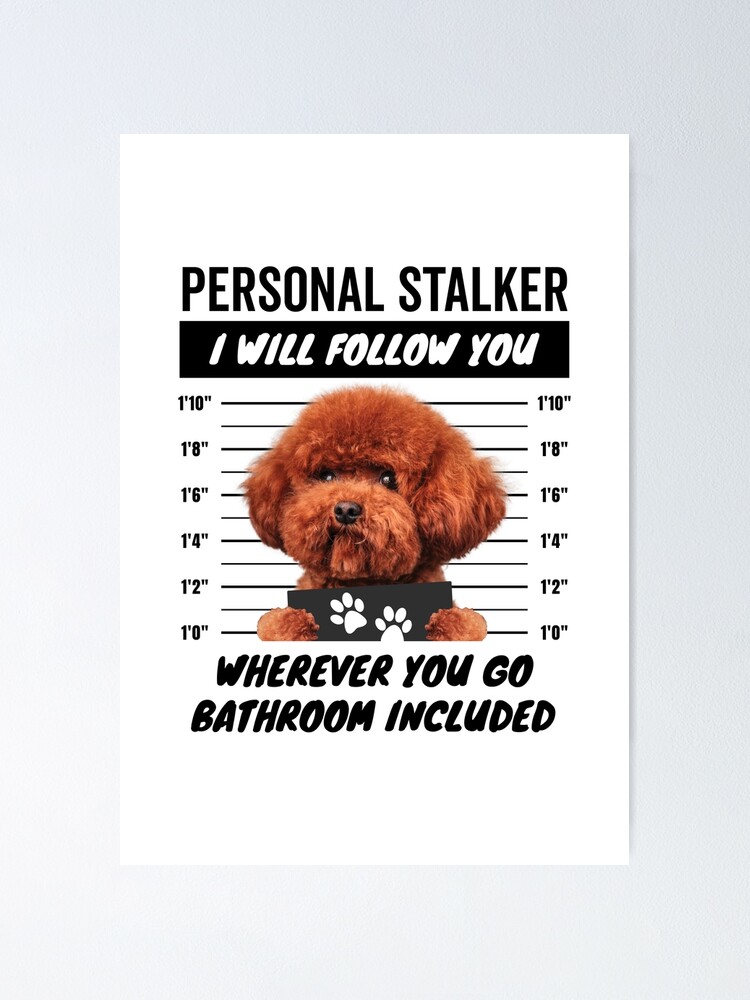 Personal Stalker Dog, Poodle, Funny Poodles Puppies Sayings, Poodle Owner  Gifts, Poodle Puppy, Personal Stalker I will Follow You Wherever You Go  Bathroom Included Poster for Sale by PRINTED .