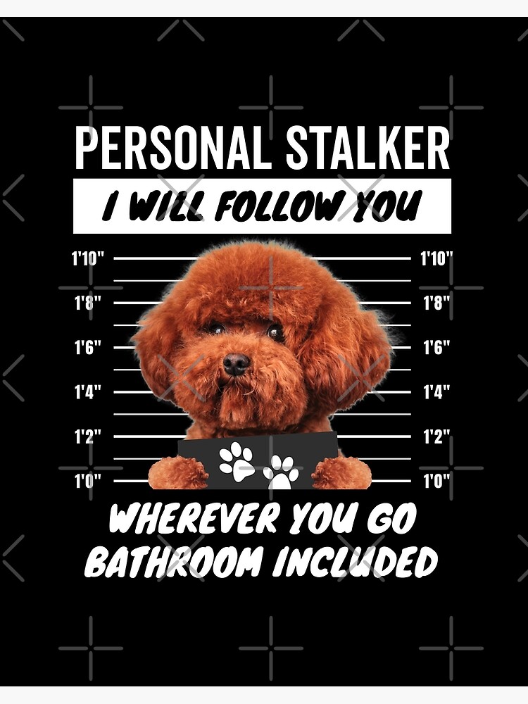 Personal Stalker Dog, Poodle, Funny Poodles Puppies Sayings, Poodle Owner  Gifts, Poodle Puppy, Personal Stalker I will Follow You Wherever You Go  Bathroom Included Poster for Sale by PRINTED .