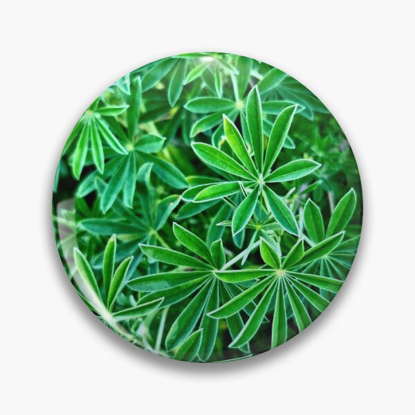 Item preview, EVER GREEN PLANT designed and sold by Steffi August.