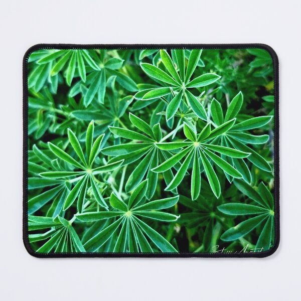Item preview, EVER GREEN PLANT designed and sold by Steffi August.