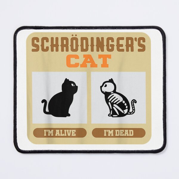 schrodinger paradox schrodinger paradox