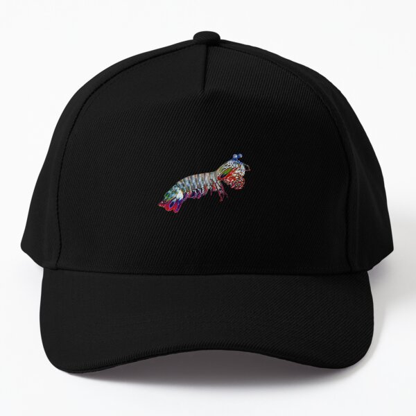 Embroidered Fishing Hat Tuna Baseball Hat Tiny Design Ball Caps Saltwater Fish  Cap Spring Break Cap -  Canada