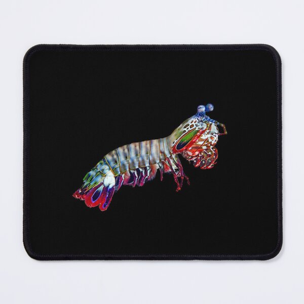 Item preview, Mantis Shrimp designed and sold by TravelTemple.