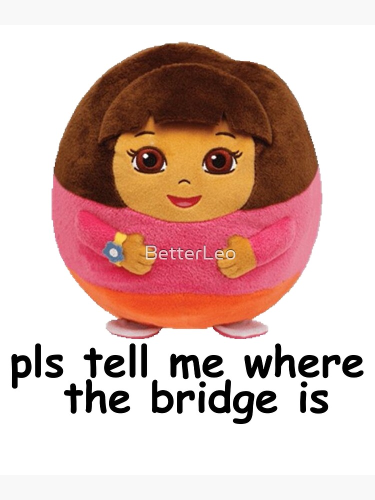 Dora cant find the bridge