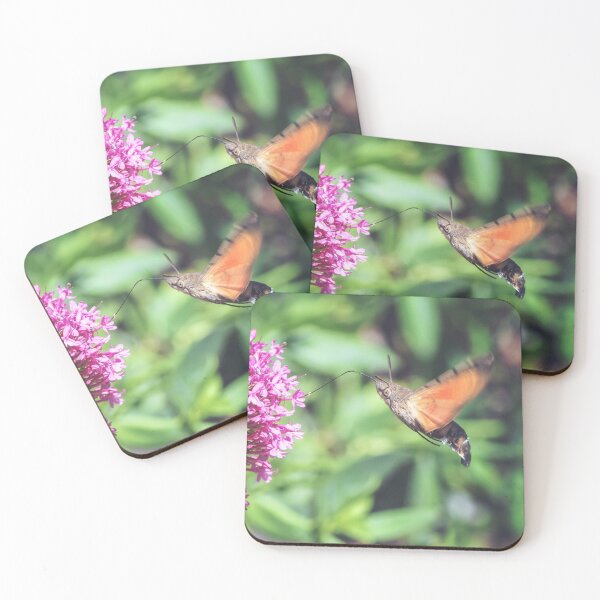 Item preview, Hummingbird Hawk-moth butterfly insect flying on red valerian pink flowers designed and sold by Grégory DUBUS.