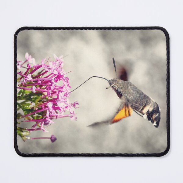 Item preview, Hummingbird Hawk-moth butterfly sphinx insect flying on valerian pink flowers designed and sold by Grégory DUBUS.