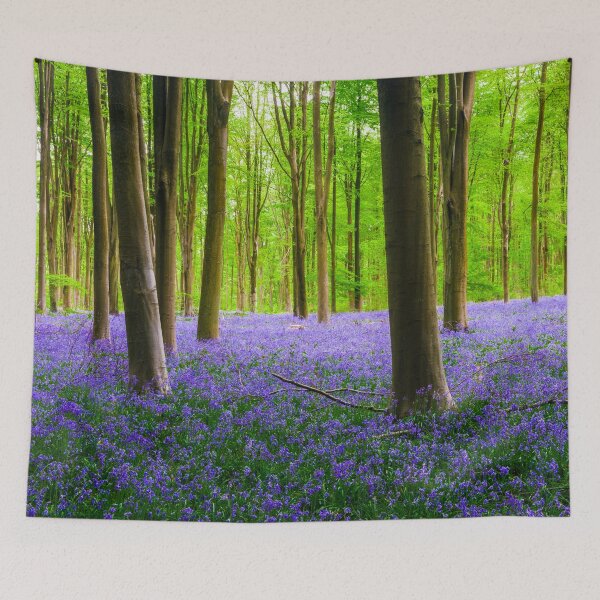 Item preview, Bluebell Woodland, Wiltshire, England designed and sold by Craig Joiner.
