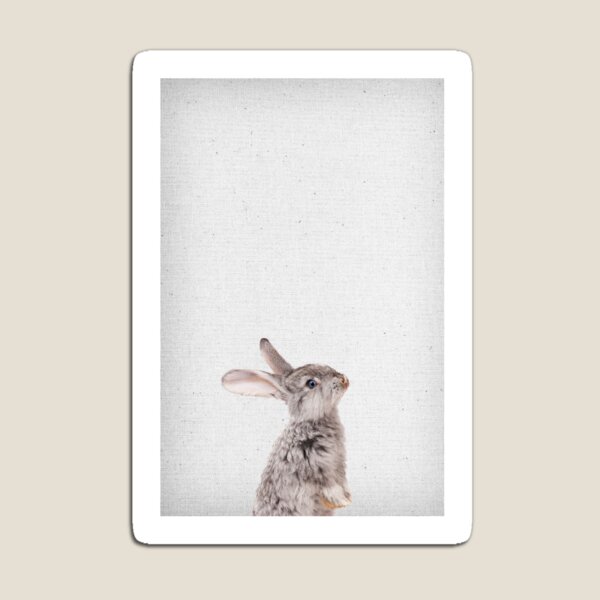 Copy of Rabbit 08 Magnet